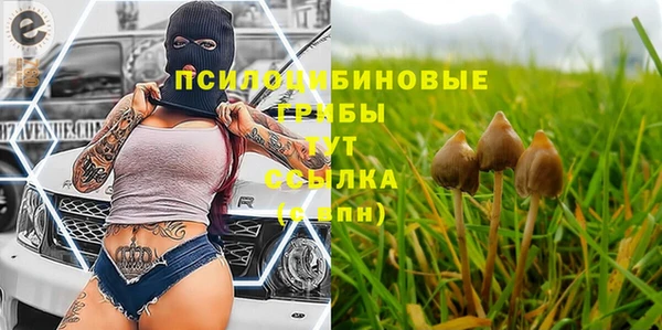 марки nbome Алзамай