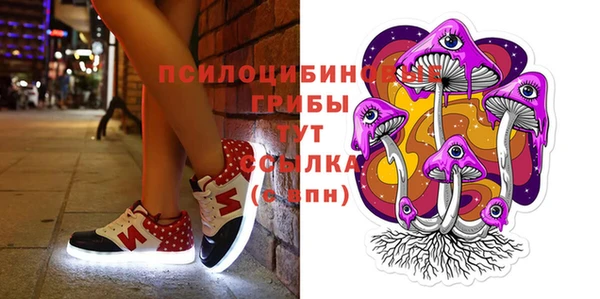apvp Алексеевка