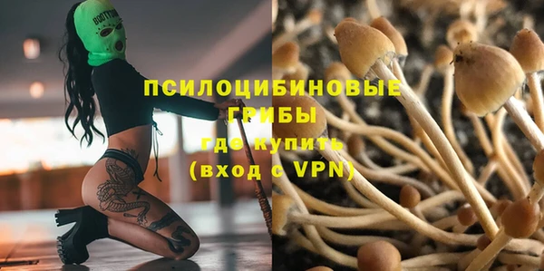 apvp Алексеевка